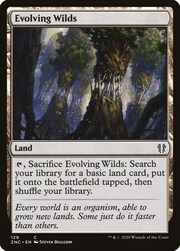 Evolving Wilds