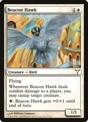 Beacon Hawk