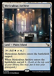 Meticulous Archive