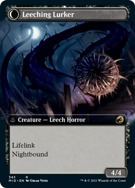 Curse of Leeches // Leeching Lurker Card Back