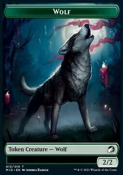 Spider / Wolf Card Back