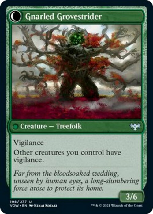 Dormant Grove // Gnarled Grovestrider Card Back