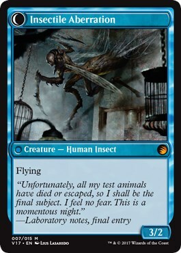 Delver of Secrets // Insectile Aberration Card Back