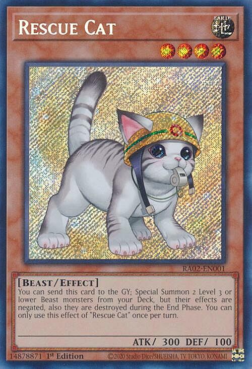 Rescue Cat Card Back