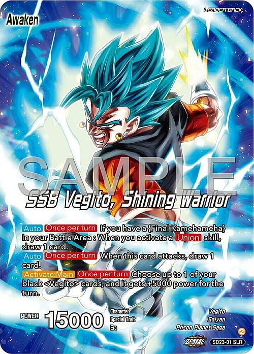 Son Goku & Vegeta // SSB Vegito, Shining Warrior Parte Posterior