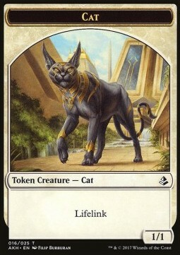 Sunscourge Champion / Cat Card Back