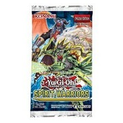 Busta di Spirit Warriors