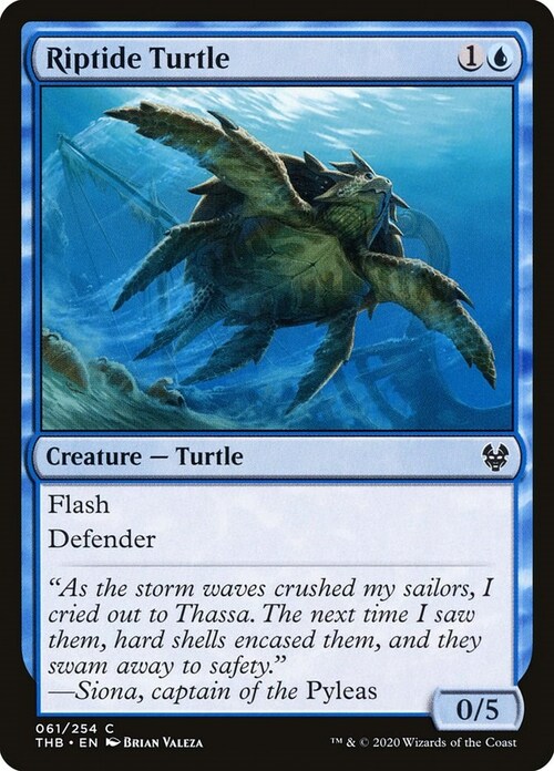 Riptide Turtle Card Front