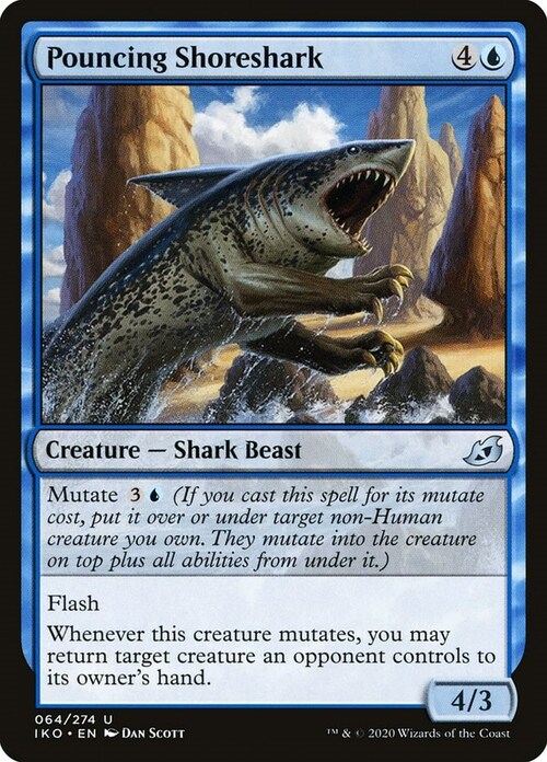 Pouncing Shoreshark Card Front