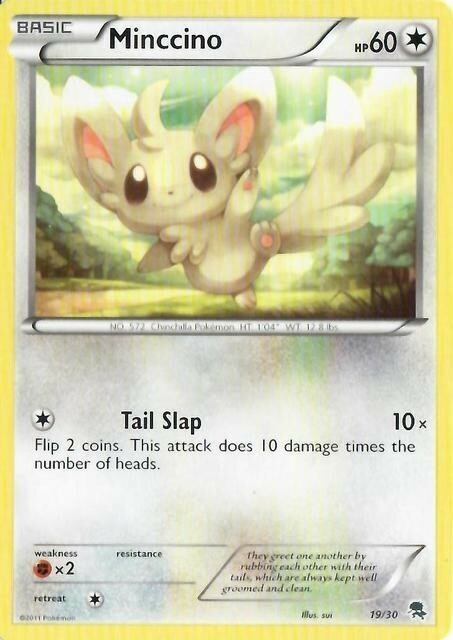 Minccino Card Front