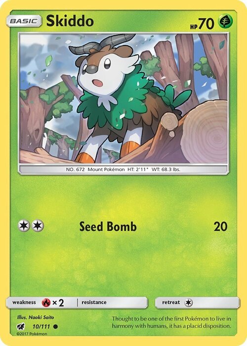 Skiddo Card Front