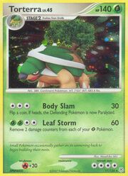 Torterra Lv.45