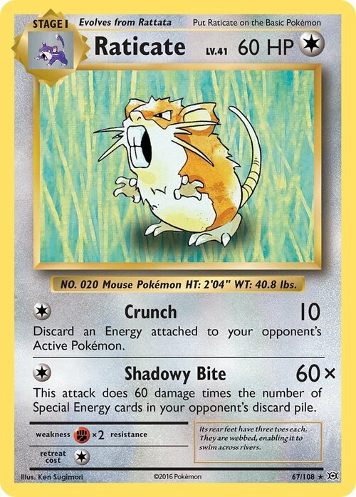 Raticate Card Front