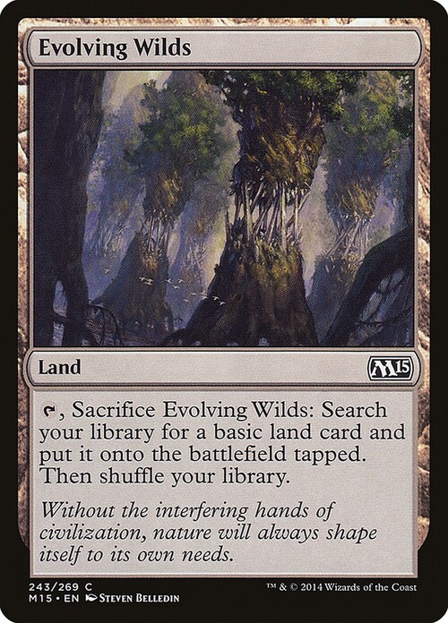 Evolving Wilds Card Front