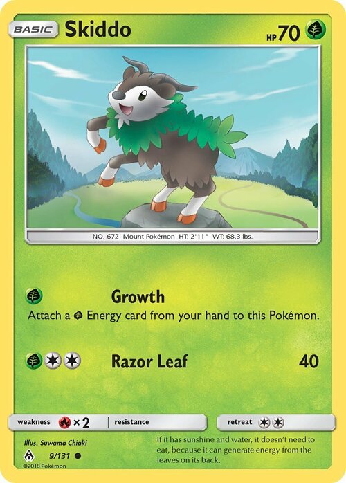 Skiddo Card Front