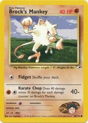 Brock's Mankey