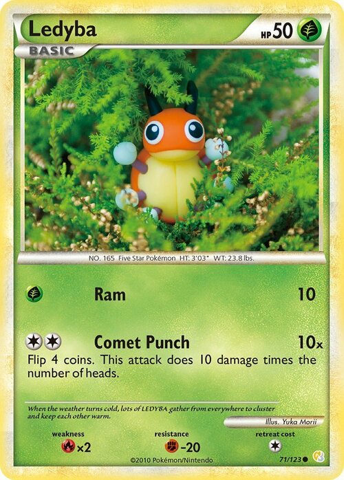 Ledyba Card Front