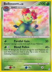 Bellossom Lv.38