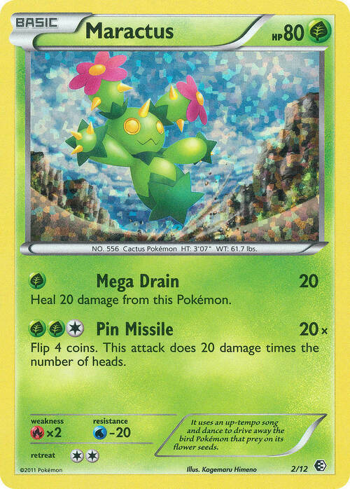 Maractus Card Front