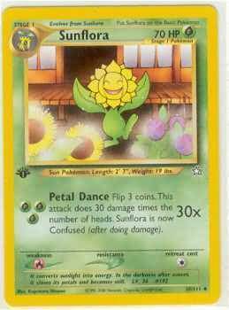 Sunflora Card Front