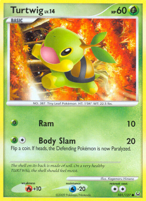 Turtwig Lv.14 Card Front