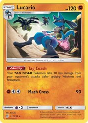 Lucario [Tag Coach | Mach Cross]