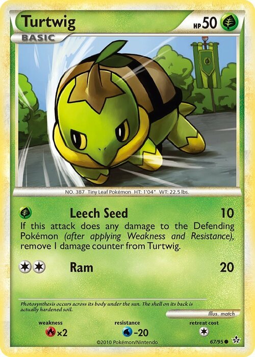 Turtwig Card Front