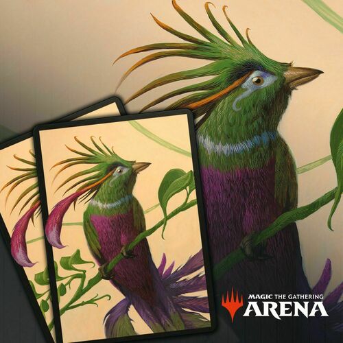 Arena Code Card Front