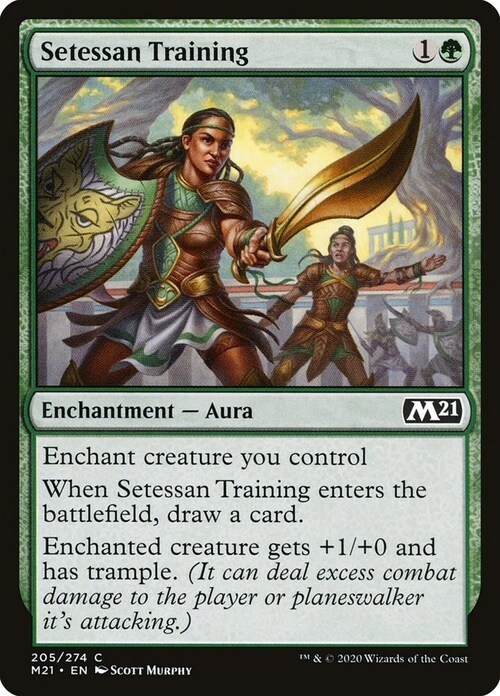 Setessan Training Card Front