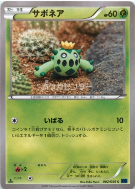 Cacnea Card Front