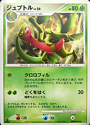 Grovyle Lv.26