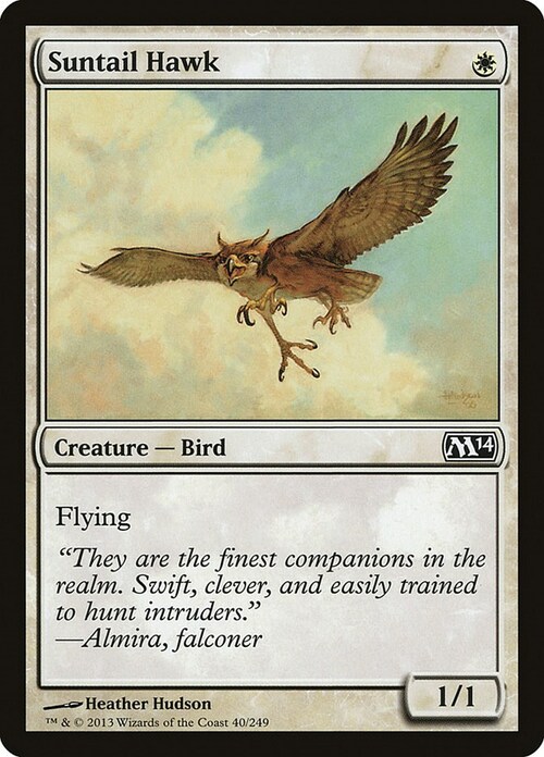 Suntail Hawk Card Front