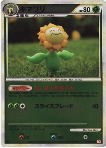 Sunflora Card Front