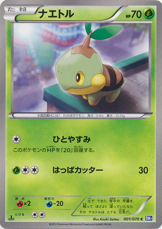 Turtwig Card Front