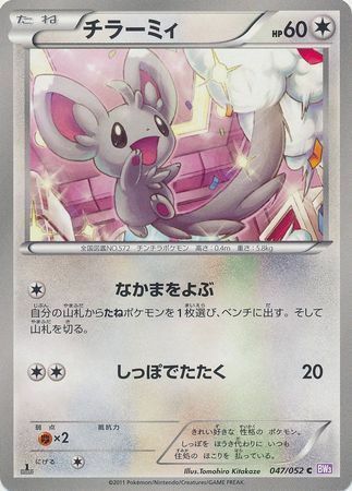 Minccino Card Front