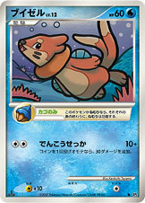 Buizel Card Front