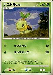 Turtwig Lv.10