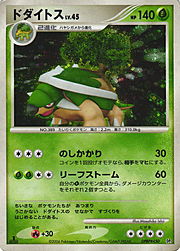 Torterra Lv.45