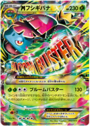 Mega Venusaur EX