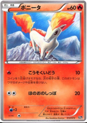 Ponyta