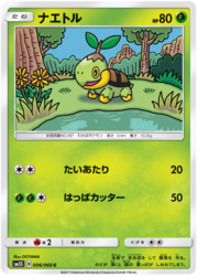 Turtwig