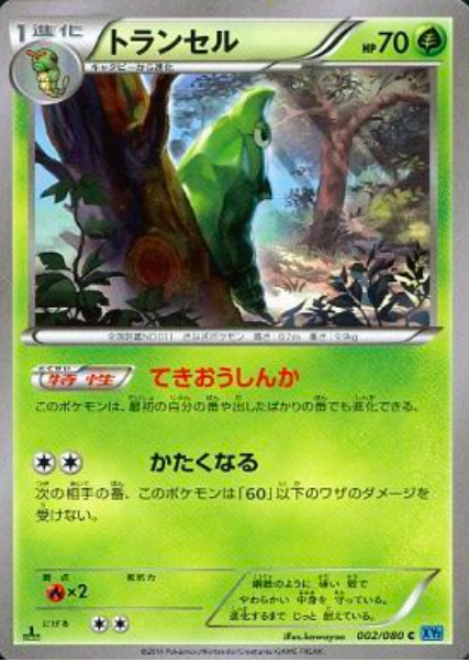 Metapod Card Front