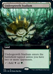 Undergrowth Stadium