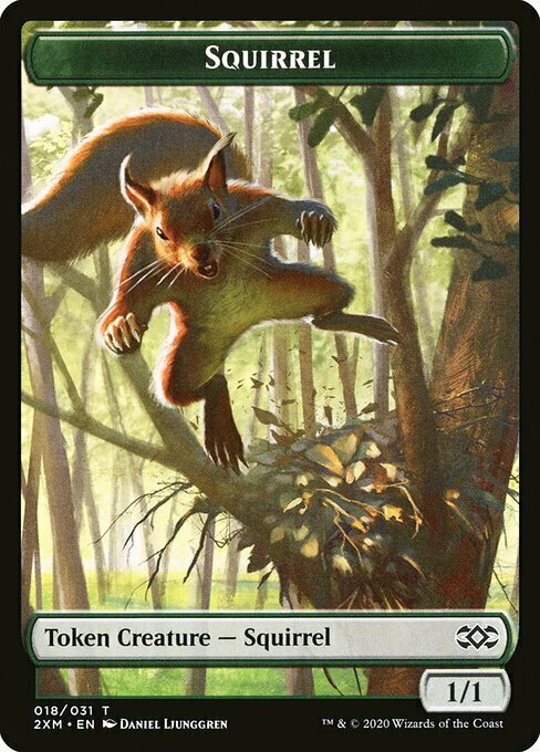 Squirrel Card Front