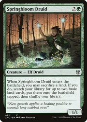 Springbloom Druid