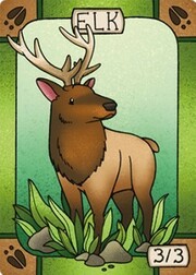 Elk