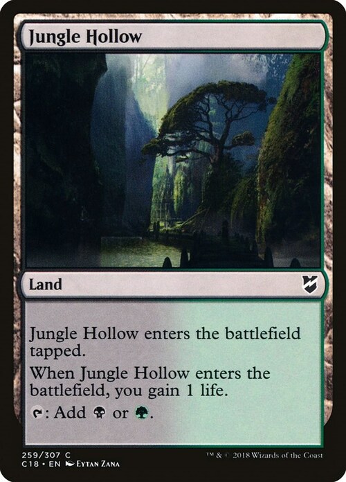 Jungle Hollow Card Front