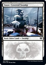 Snow-Covered Swamp