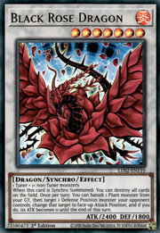 Black Rose Dragon