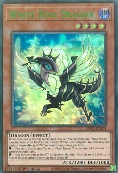 White Rose Dragon Card Front